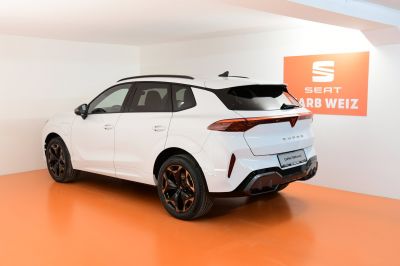 Cupra Terramar Gebrauchtwagen