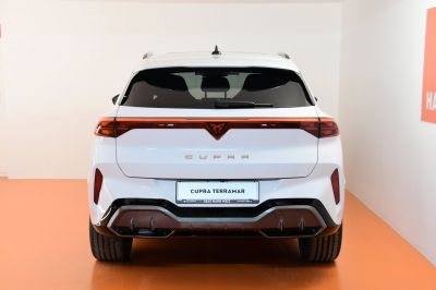 Cupra Terramar Gebrauchtwagen Cupra Terramar Gebrauchtwagen