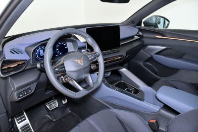 Cupra Terramar Gebrauchtwagen