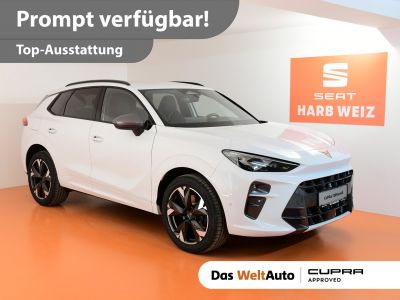 Cupra Terramar Gebrauchtwagen Cupra Terramar Gebrauchtwagen