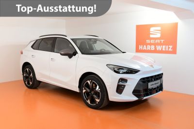 Cupra Terramar Gebrauchtwagen Cupra Terramar Gebrauchtwagen