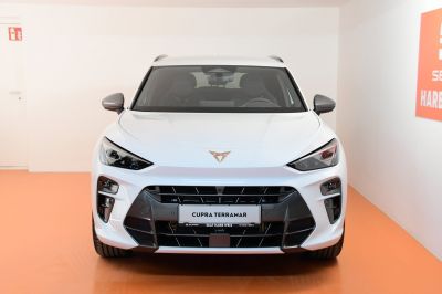 Cupra Terramar Gebrauchtwagen Cupra Terramar Gebrauchtwagen