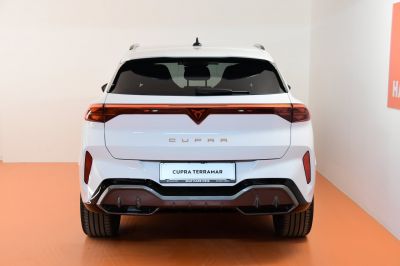 Cupra Terramar Gebrauchtwagen Cupra Terramar Gebrauchtwagen