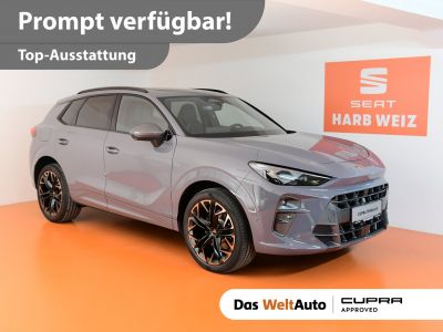 Cupra Terramar Gebrauchtwagen