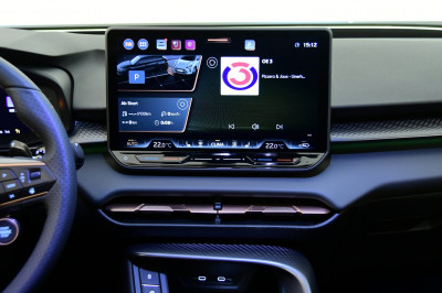 Cupra Terramar Gebrauchtwagen