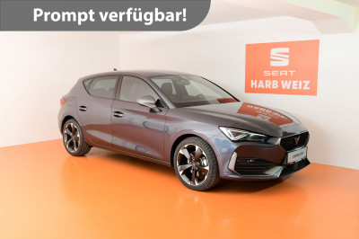 Cupra Leon Gebrauchtwagen