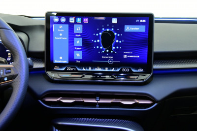 Cupra Terramar Gebrauchtwagen