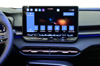 Cupra Terramar Gebrauchtwagen