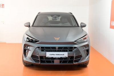 Cupra Terramar Gebrauchtwagen