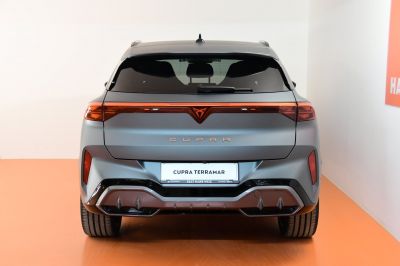 Cupra Terramar Gebrauchtwagen