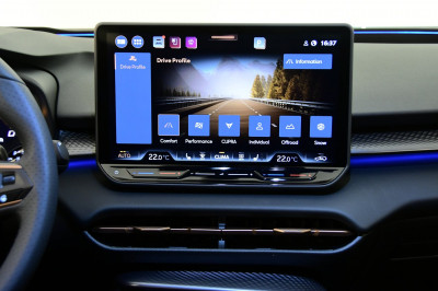 Cupra Terramar Gebrauchtwagen