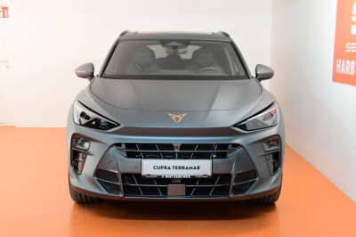 Cupra Terramar Gebrauchtwagen