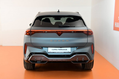 Cupra Terramar Gebrauchtwagen