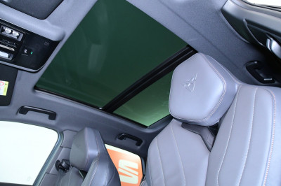 Cupra Terramar Gebrauchtwagen