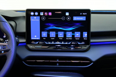 Cupra Terramar Gebrauchtwagen