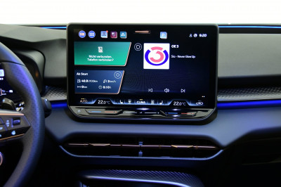 Cupra Terramar Gebrauchtwagen