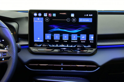 Cupra Terramar Gebrauchtwagen