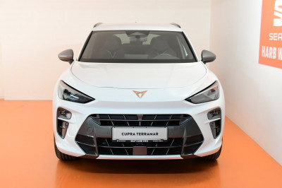 Cupra Terramar Gebrauchtwagen