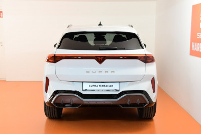 Cupra Terramar Gebrauchtwagen