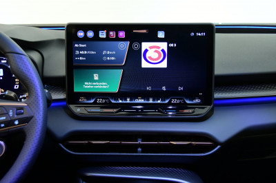 Cupra Terramar Gebrauchtwagen