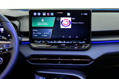 Cupra Terramar Gebrauchtwagen