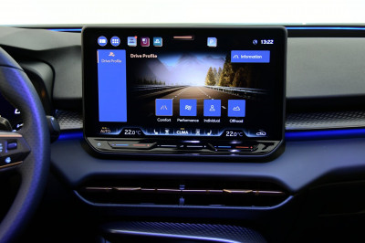 Cupra Terramar Gebrauchtwagen