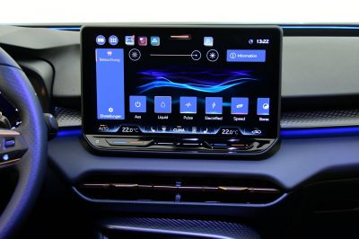 Cupra Terramar Gebrauchtwagen