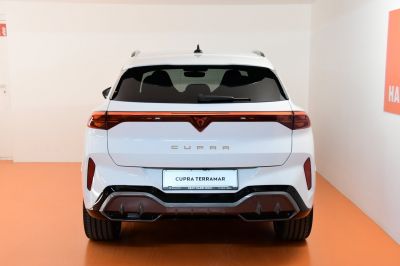 Cupra Terramar Gebrauchtwagen