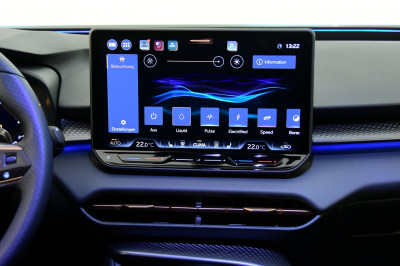 Cupra Terramar Gebrauchtwagen