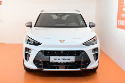 Cupra Terramar Gebrauchtwagen