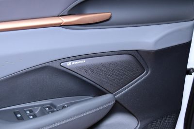 Cupra Terramar Gebrauchtwagen