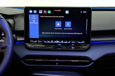 Cupra Terramar Gebrauchtwagen