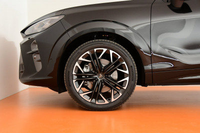 Cupra Terramar Gebrauchtwagen