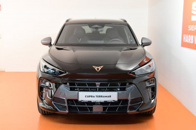 Cupra Terramar Gebrauchtwagen