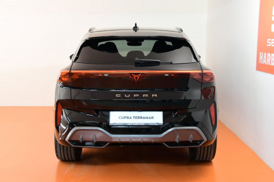 Cupra Terramar Gebrauchtwagen