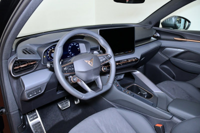 Cupra Terramar Gebrauchtwagen