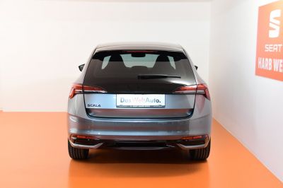Skoda Scala Gebrauchtwagen