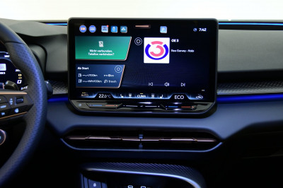 Cupra Terramar Gebrauchtwagen