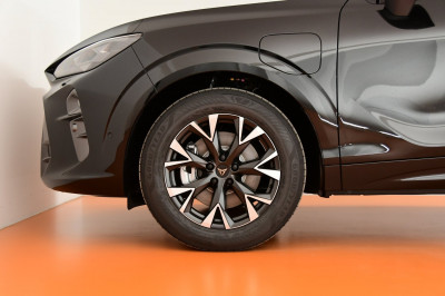 Cupra Terramar Gebrauchtwagen