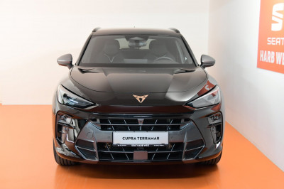 Cupra Terramar Gebrauchtwagen