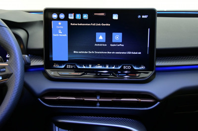Cupra Terramar Gebrauchtwagen