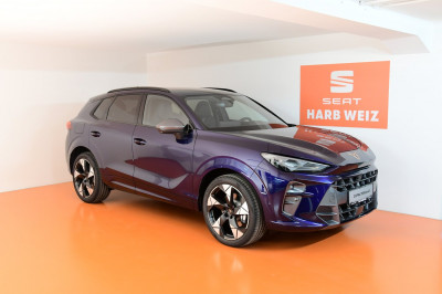Cupra Terramar Gebrauchtwagen