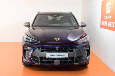 Cupra Terramar Gebrauchtwagen