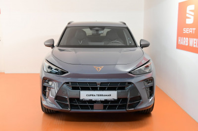 Cupra Terramar Gebrauchtwagen