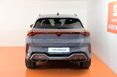 Cupra Terramar Gebrauchtwagen