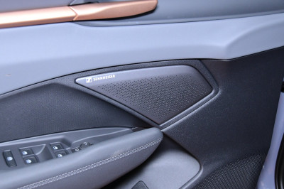 Cupra Terramar Gebrauchtwagen