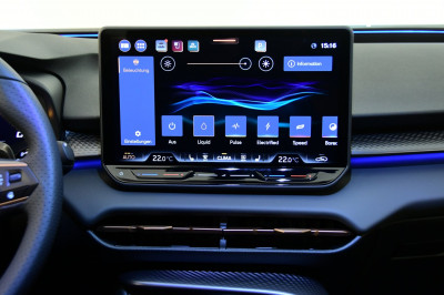 Cupra Terramar Gebrauchtwagen