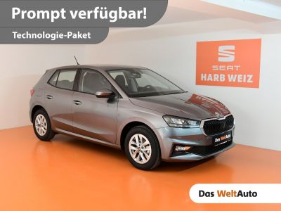 Skoda Fabia Gebrauchtwagen