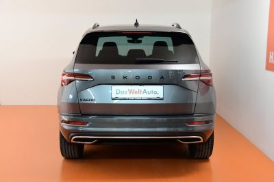 Skoda Karoq Gebrauchtwagen