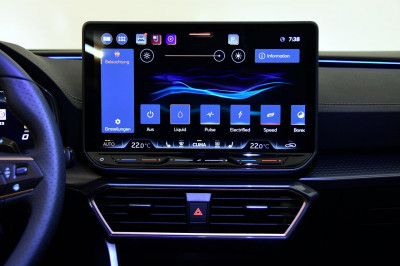 Cupra Formentor Gebrauchtwagen Cupra Formentor Gebrauchtwagen